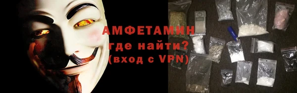 дурь Бородино