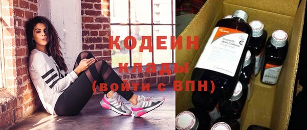 дурь Бородино