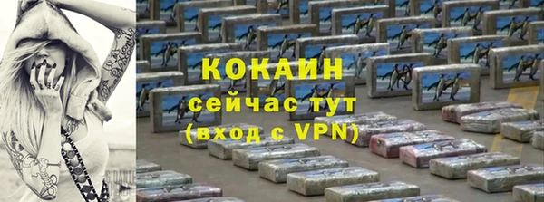 дурь Бородино