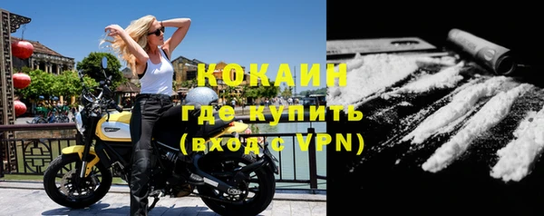 дурь Бородино