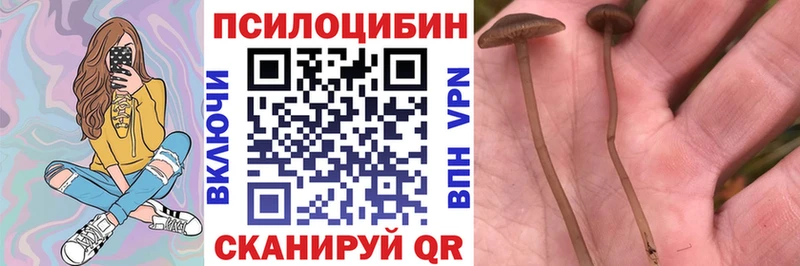 Галлюциногенные грибы мицелий  кракен онион  Тюмень 